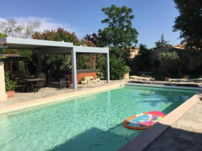 Cigales sous oliviers